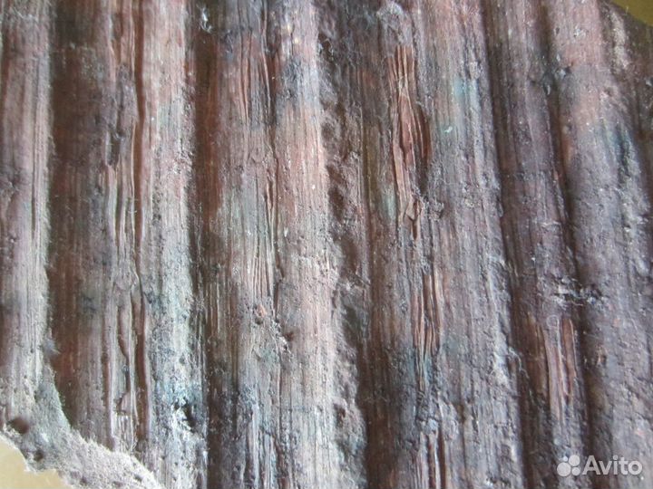 Окаменелость Окаменелое дерево. Сигиллярия