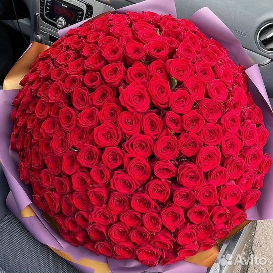 101 Роза Цветы Букеты 501 201 59 15 Розы Доставка