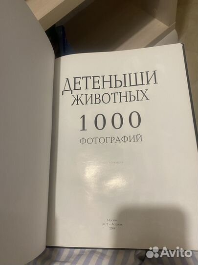 Книга-Альбом 