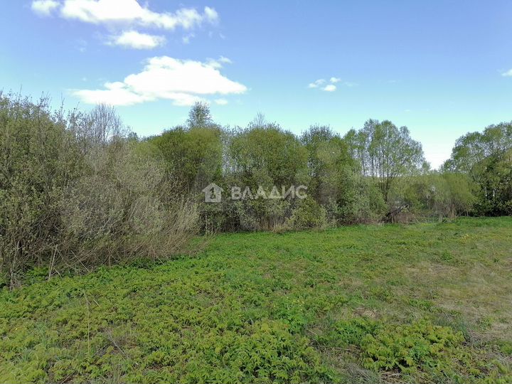 Участок 54,7 сот. (ИЖС)