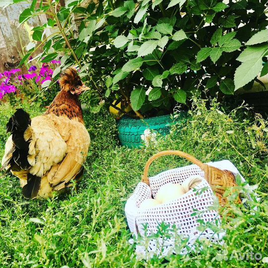 Ажурный чехол для корзины пасхальный декор