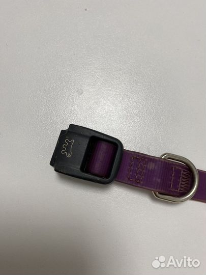 Evolution ошейник