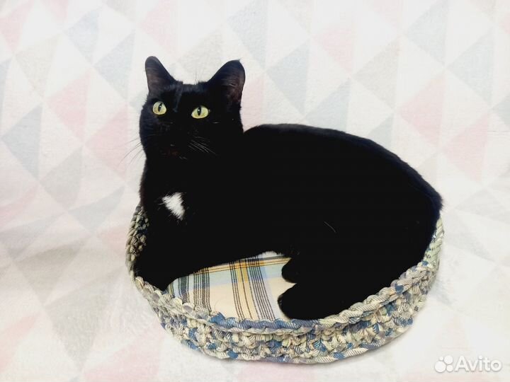 Вязаная лежанка для кошек/собак