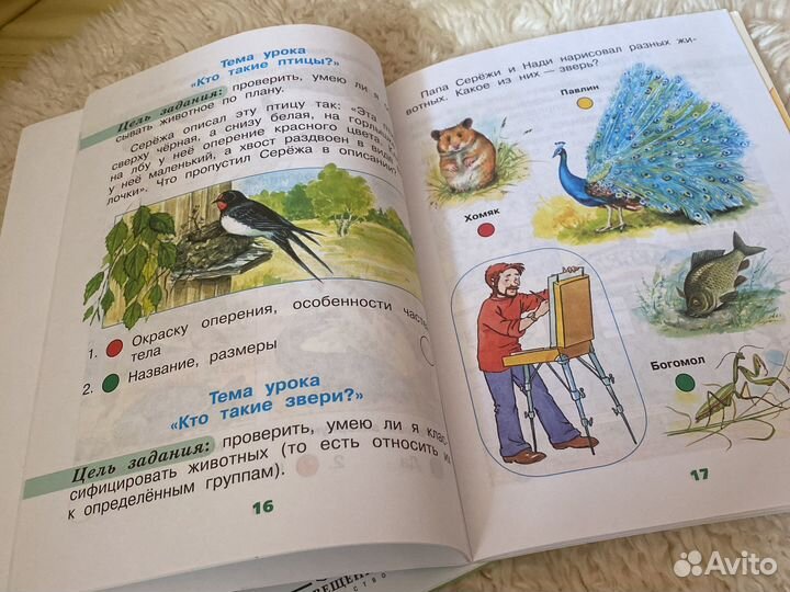 Рабочая тетрадь окружающий мир 1 класс