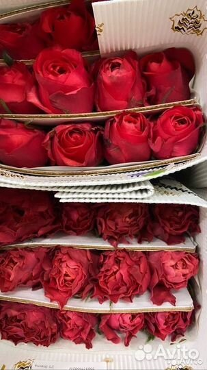 Букет цветов с доставкой из высоких роз 60+ см