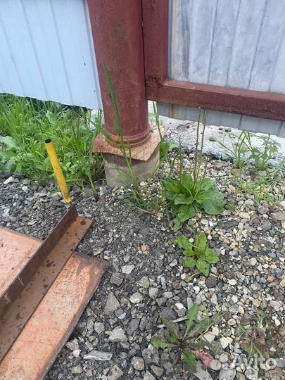 Ворота с калиткой распашные