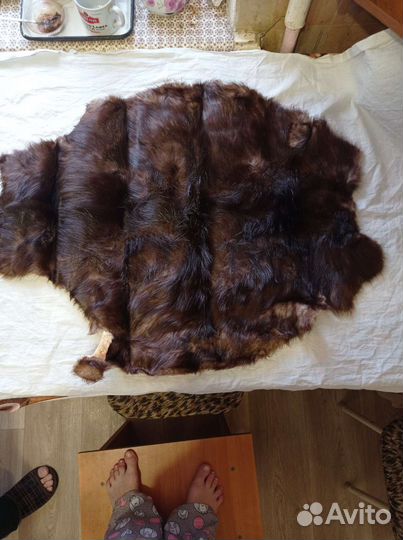 Шкурка норки