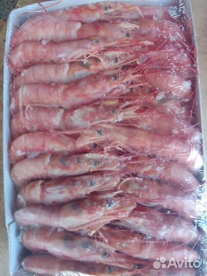 Лангустины с головой и без головы