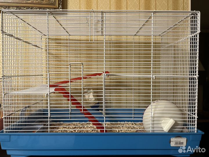 Крыса с клеткой