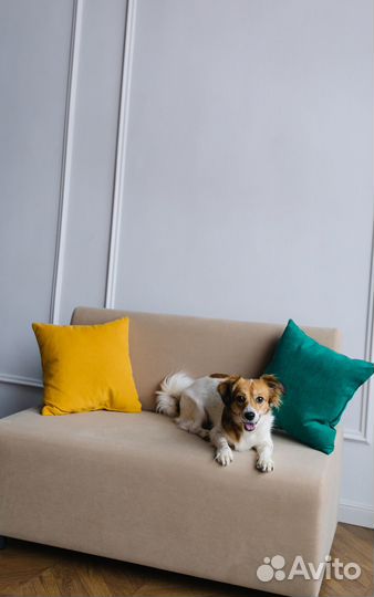 Диван в офис