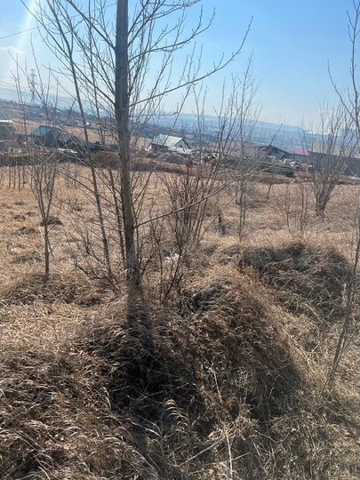 Участок 24 сот. (СНТ, ДНП)