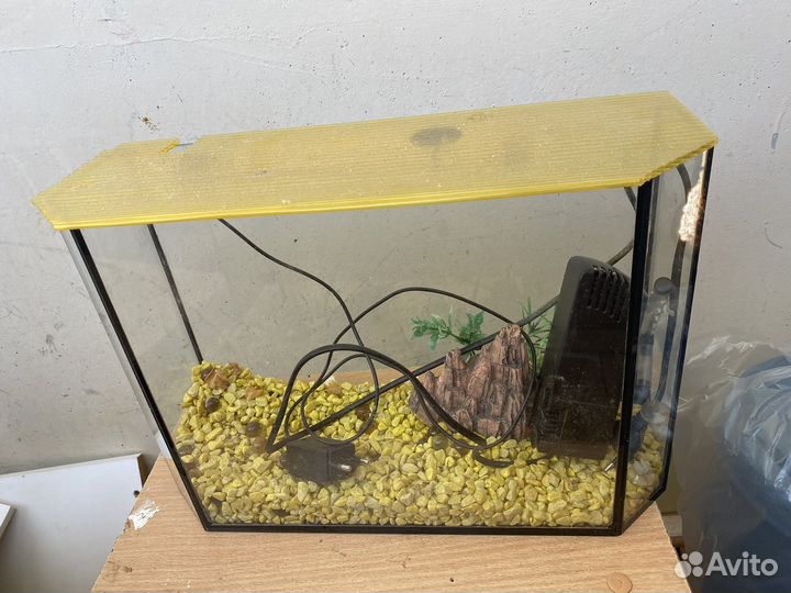 Аквариум