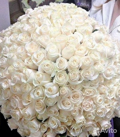 Метровые розы с доставкой