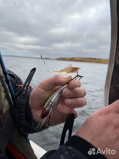 Рыбалка в Карелии