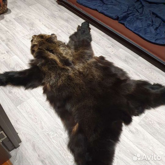 Искусственная шкура медведя