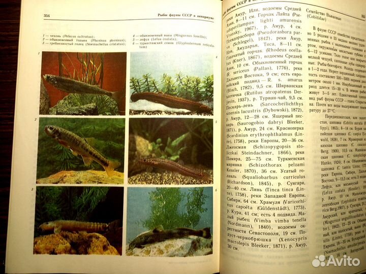 Книга по аквариумистике
