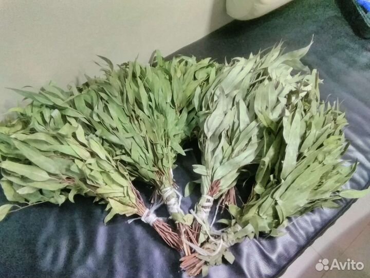 Эвкалиптовые веники,сбор 23года