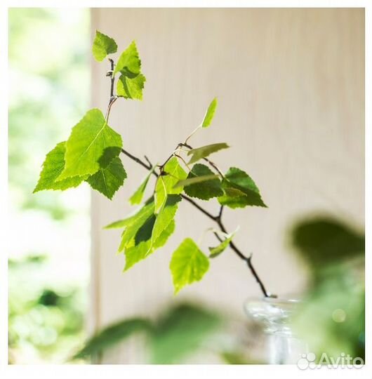 Adlad ароматизатор подвесной