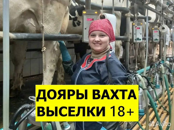 Дояр вахта Выселки
