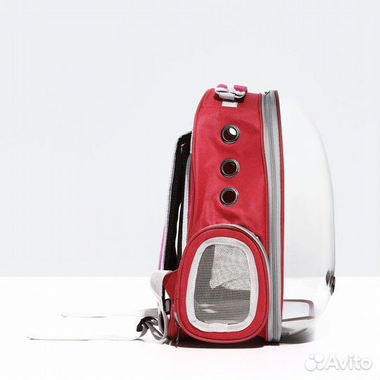 Рюкзак для переноски животных прозрачный, 31 х 28