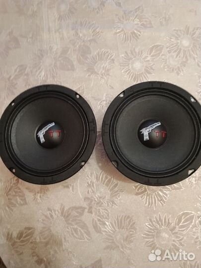 Динамики 16 тт 165