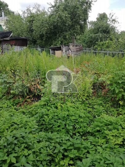 Участок 8,3 сот. (СНТ, ДНП)