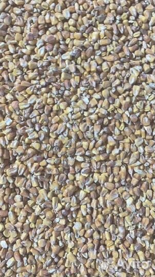 Кукуруза в мешках 40кг