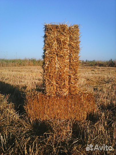 Солома пшеничная и ячменная