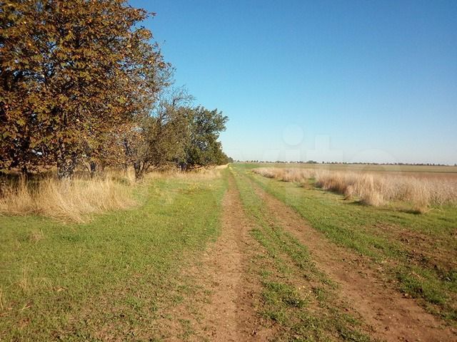 Участок 100 сот. (СНТ, ДНП)