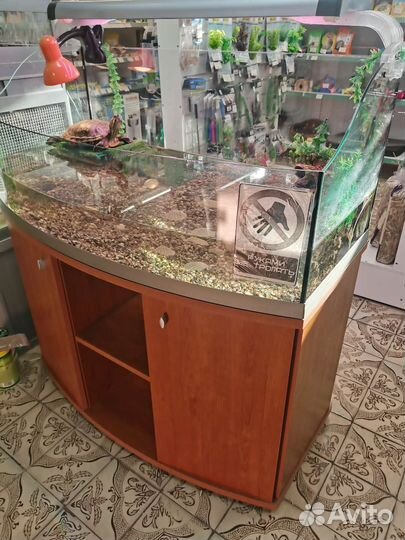 Террариум для черепахи