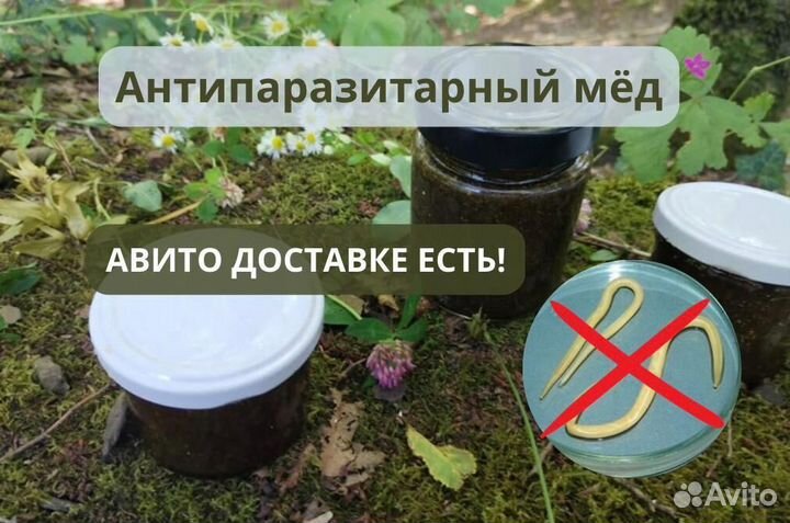 Очищение от гельминтов на основе меда с травами