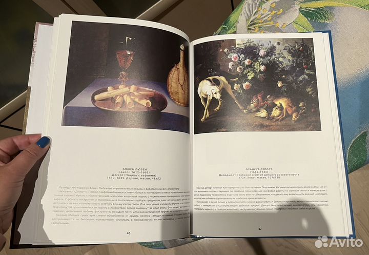 Книга Музеи мира Лувр