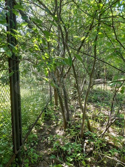 Участок 9,6 сот. (ИЖС)