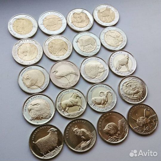 Монеты Турции