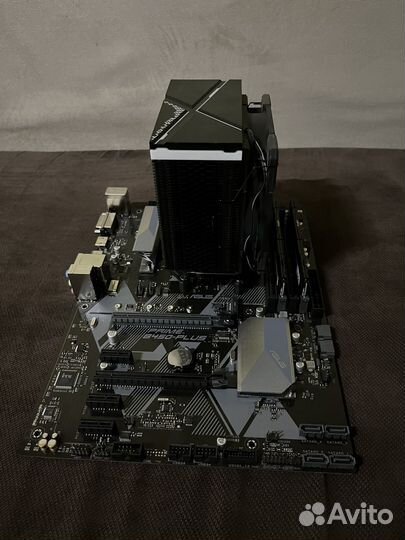 Asus prime b450 plus + Ryzen 7 3700x