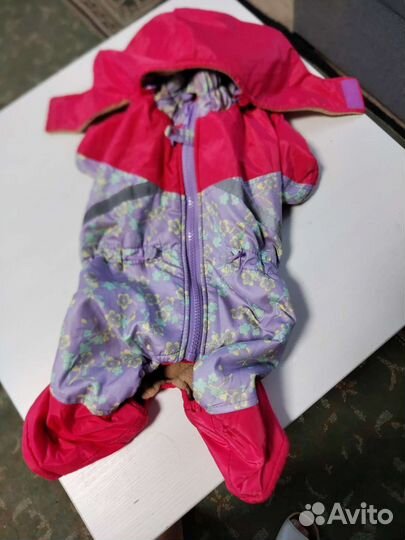 Комбинезон для суки