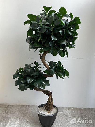Фикус искусственный. Искусственные цветы