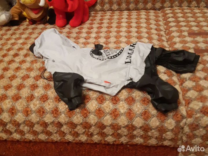 Одежда для собак