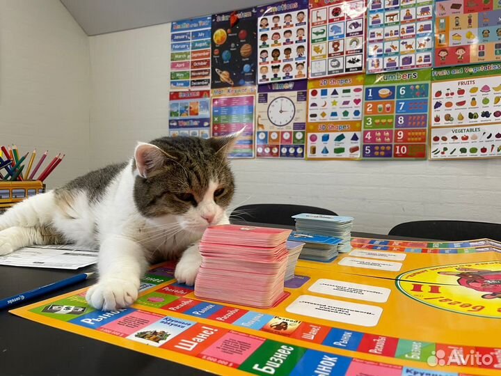 Cashflow 2.0 (Денежный поток 2.0)