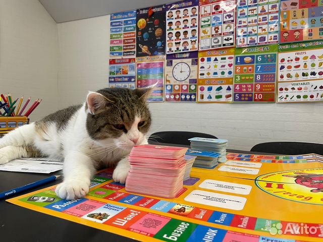 Cashflow 2.0 (Денежный поток 2.0)