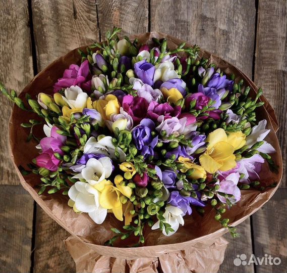 Фрезии цветок