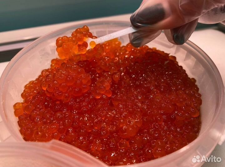 Красная икра Опт Горбуша Кета Нерка