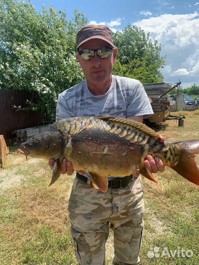 Платная рыбалка