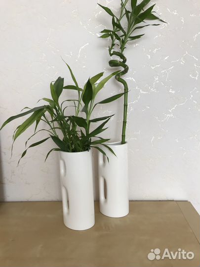 Ваза новая 2штуки