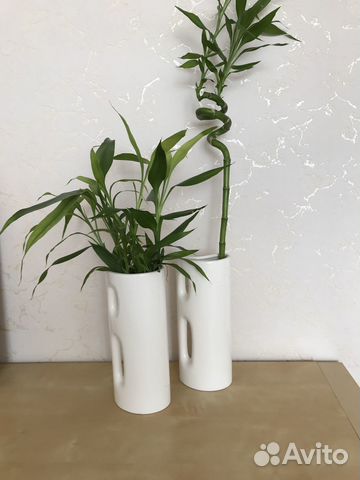 Ваза новая 2штуки