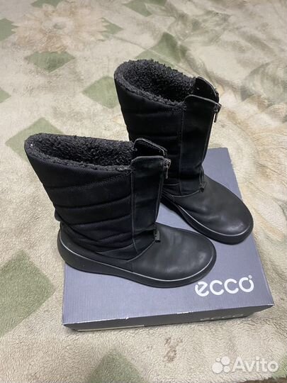 Сапоги ecco 35р