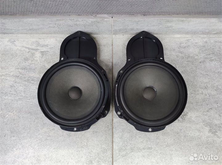 Динамики передние Vw Passat B7 Alltrack