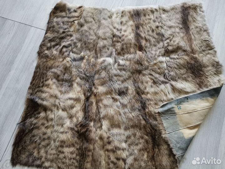 Шкурка животного