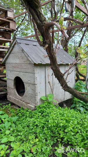 Будка для собаки