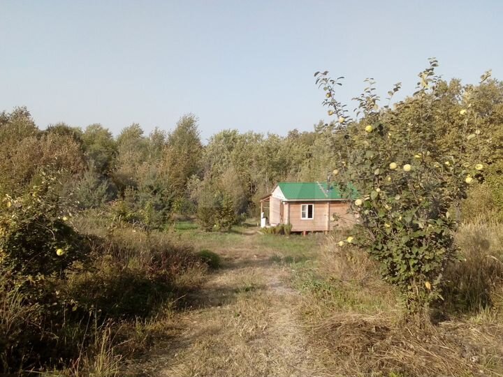 Участок 1,25 га (СНТ, ДНП)